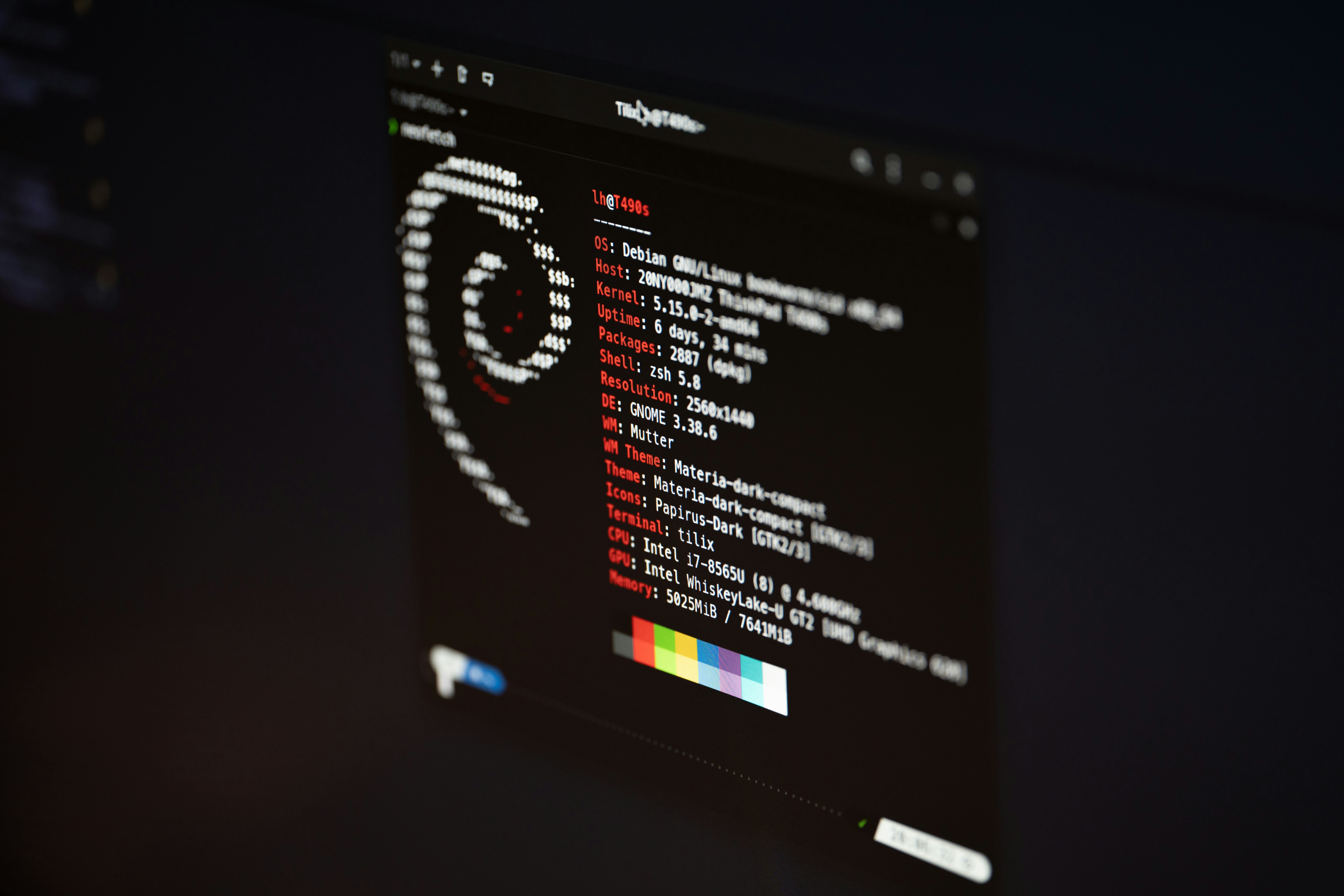 Simple Linux Setup Screen displaying Debian OS